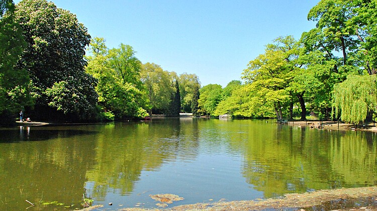 Weiher im Volksgarten