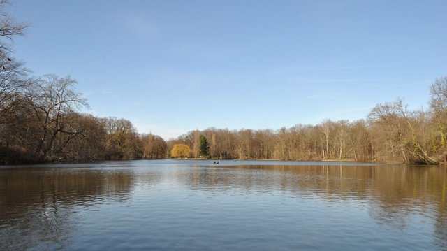 Der Krahnweiher in Stadtteil Lindenthal