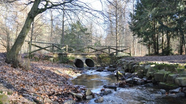 Giesbach im Königsforst
