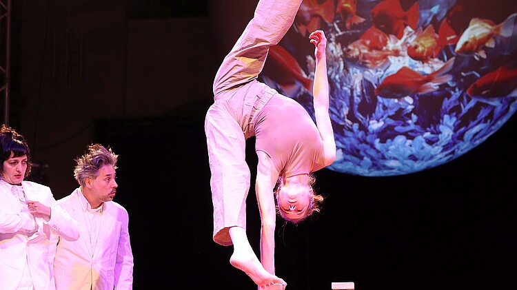 Weihnachtsshow Angelo