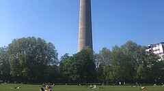 Menschen liegen entspannt auf einer Grünfläche