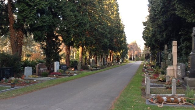 Friedhof Kalk