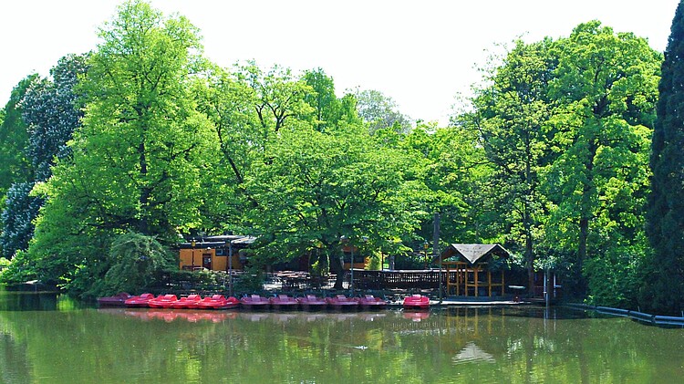 Weiher und Tretboote im Volksgarten