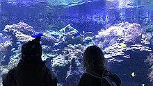 Aquarium Kölner Zoo