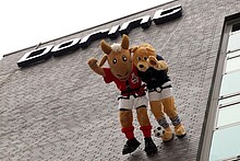 Arm in Arm den Adrenalin-Kick spüren: „Hennes“ und „Dori“ bei der Saisoneröffnung an der Fassade des Dorint An der Messe Köln