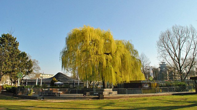 Biergarten am Aachener Weiher