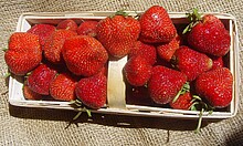 Die Sieger des „Erdbärchen“-Wettbewerbs dürfen auf Gut Clarenhof für sich selbst Erdbeeren pflücken (Foto: M.Grossmann/pixelio.de).