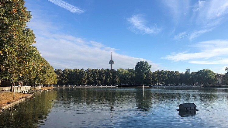 Blick auf das Wasser des Aachener Weihers, ein Entenhaus ist auf dem Wasser zu sehen. Der Colonius ist im Hintergrund über den Baumkronen