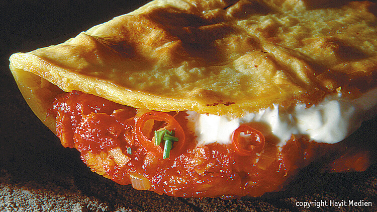 Quesadilla aus dem Kochbuch 100 mexikanische Gerichte