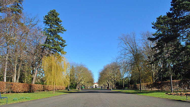 Hauptgang Westfriedhof Köln
