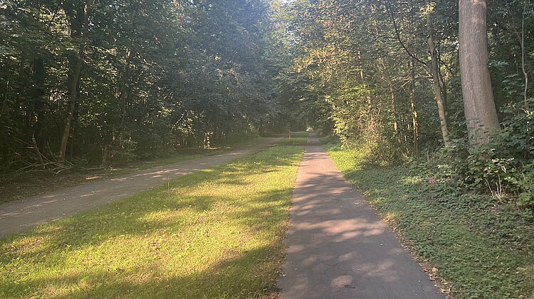 Weg im Äußeren Grüngürtel