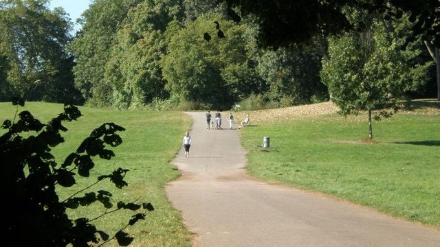 Weg im Park