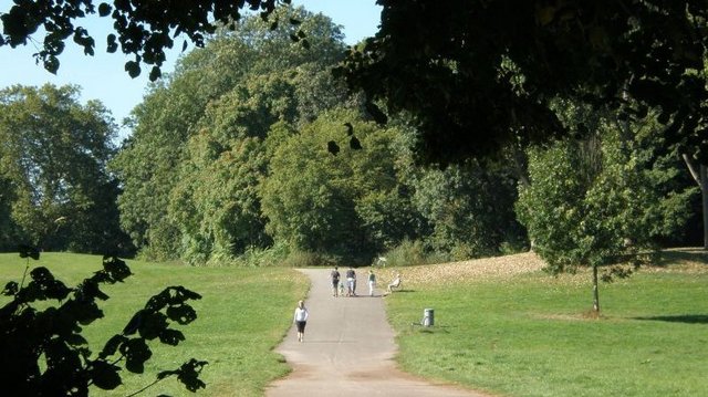 Laufstrecken in Köln Laufen in Köln