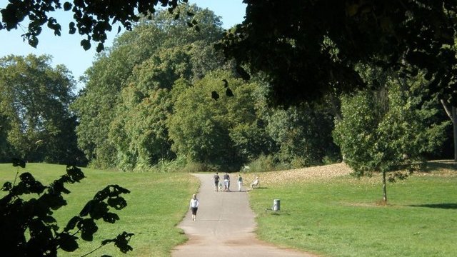 Laufen in Köln