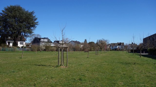 Streuobstwiese in Ostheim