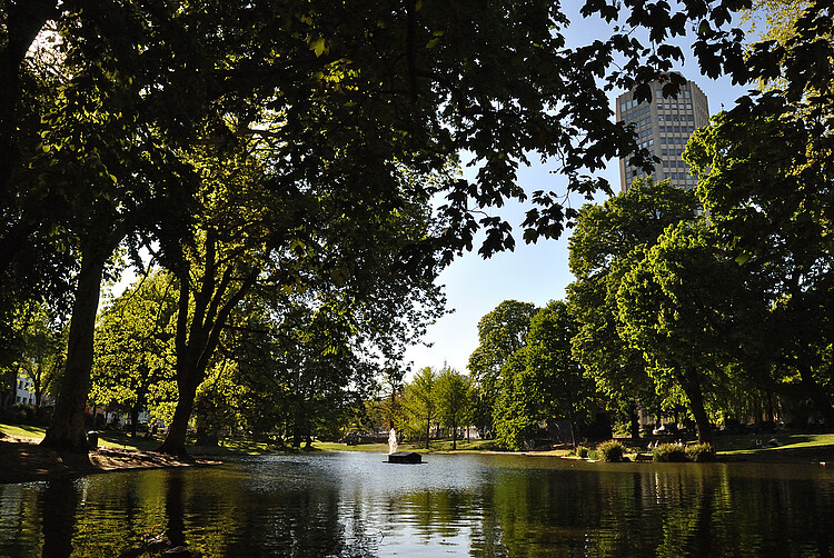 Theodor-Heuss-Park mit Weiher im Agnesviertel