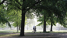 Jogger im Park