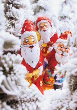 Hotel im Wasserturm unterstützt mit großem Weihnachtswunschbaum den Verein "Kindernöte e.V."